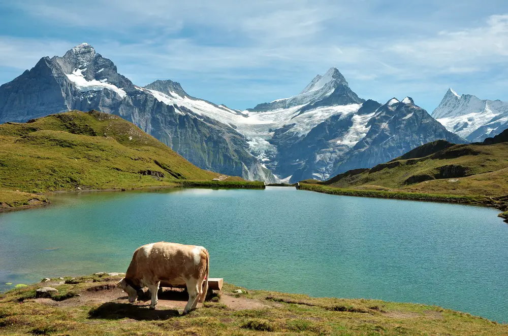 DSC 0001 Oberland Bernois Suisse avec enfants | Blog VOYAGES ET ENFANTS