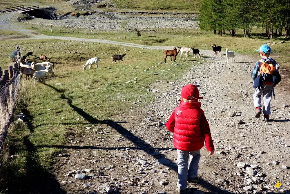 Lac des Cordes randonnée en famille Hautes Alpes enfant Copie Rando lac des Cordes en famille Hautes Alpes | Blog VOYAGES ET ENFANTS