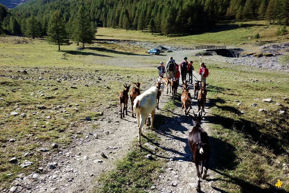 Lac des cordes randonnée enfants Hautes Alpes Rando lac des Cordes en famille Hautes Alpes | Blog VOYAGES ET ENFANTS