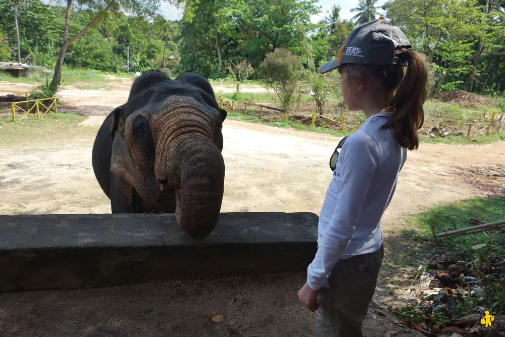 20150225 Sri Lanka 622 Voyager avec un ado ou pré ado galère | Blog VOYAGES ET ENFANTS