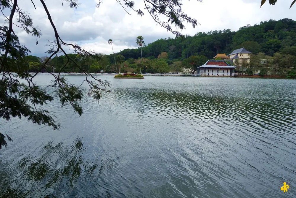 Kandi en famille promenade au bord du lac Kandy en famille visites et activités enfant