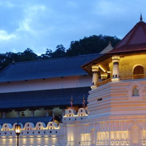 Kandy en famille visites et activités enfant