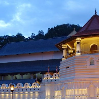 Visite de Kandi en famille - Sri Lanka #3