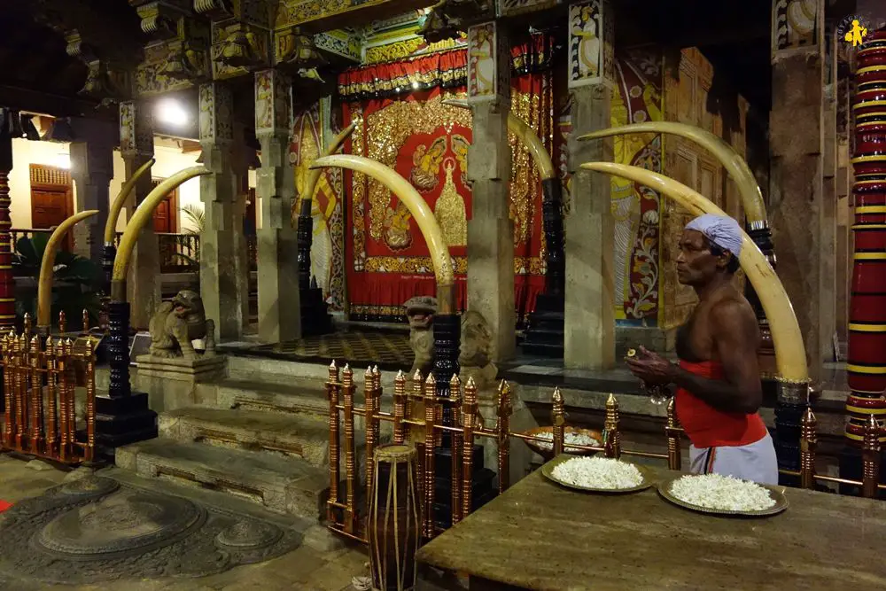 Kandy visite incontournable Temple de la dent Kandy en famille visites et activités enfant