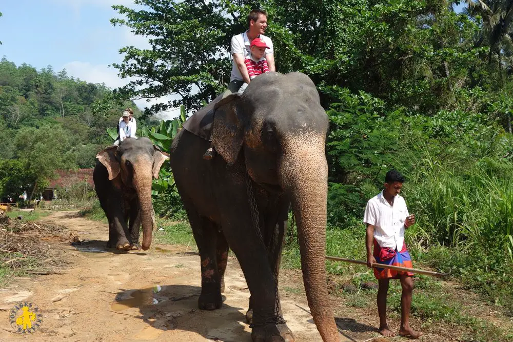 Promenade éléphant en famille Sri Lanka Kandy en famille visites et activités enfant