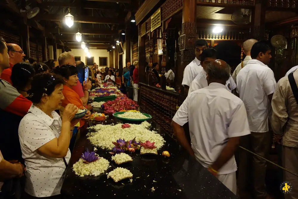 Sri lanka Kandy visite incontournable en famille