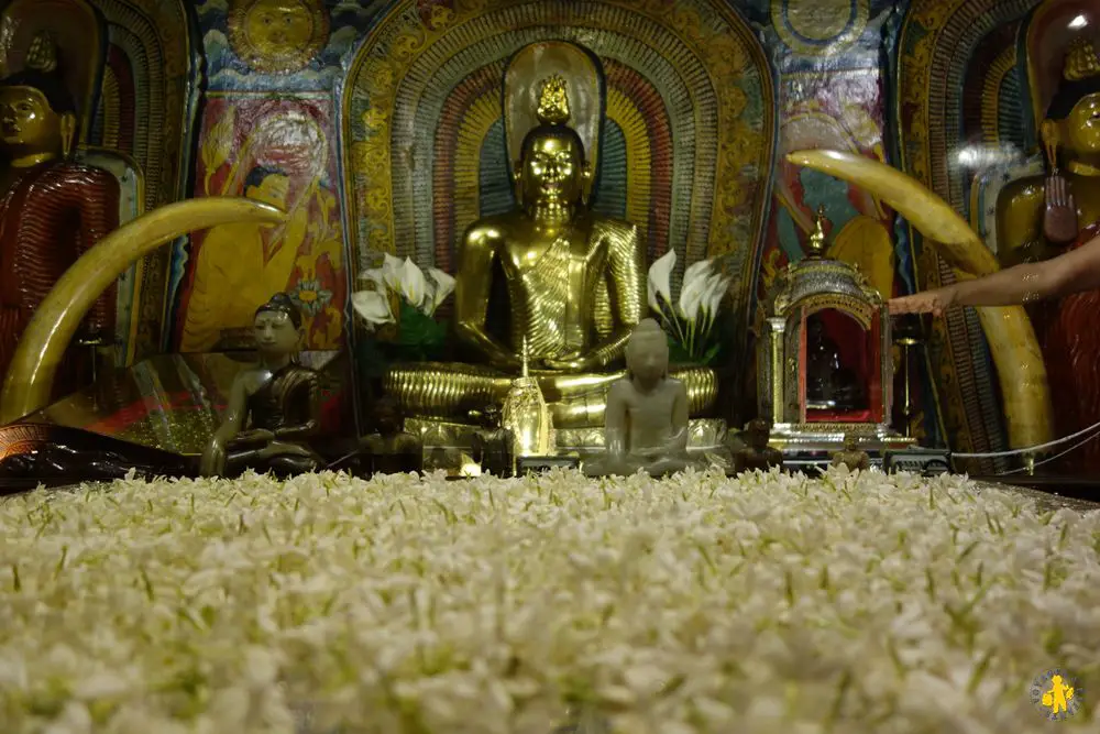 Temple de la dent Visite Kandy Kandy en famille visites et activités enfant