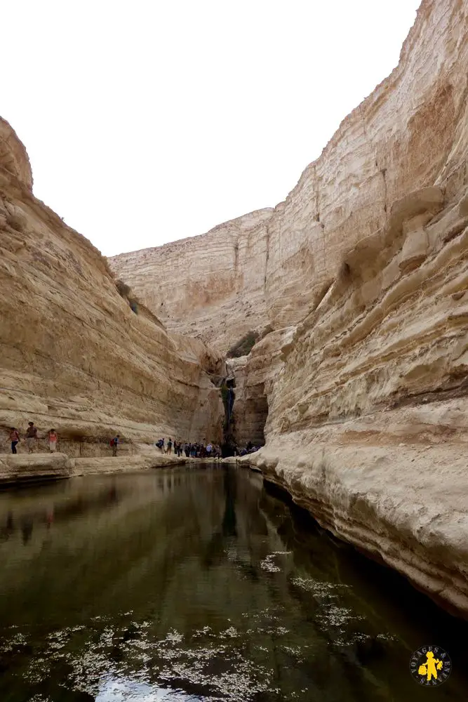 Avdat ein Israel 102015 48 Israël le sud avec enfants Eilat Négev | Blog VOYAGES ET ENFANTS