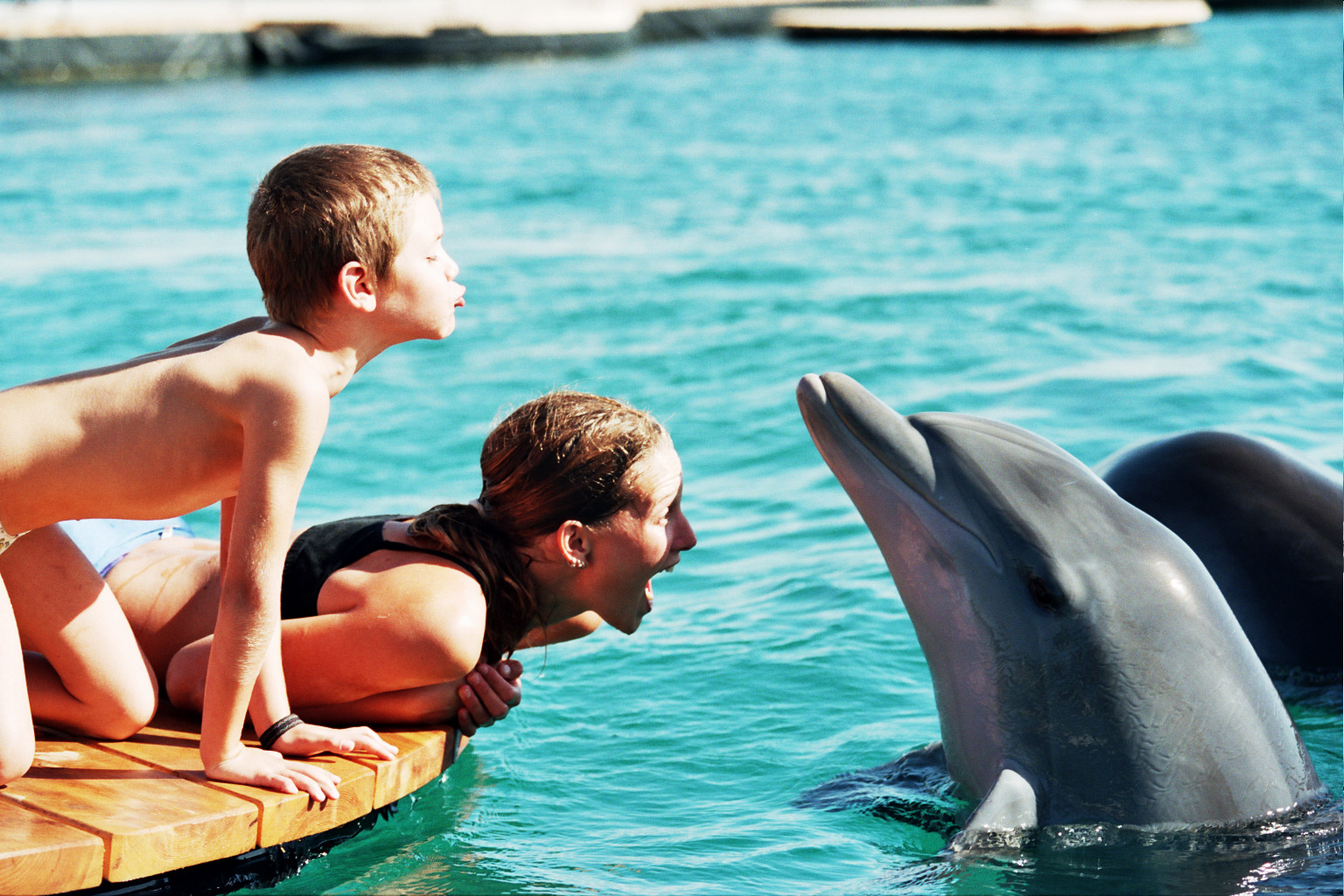 Dolphin Reef Eilat Gali amiel Israël le sud avec enfants Eilat Négev | Blog VOYAGES ET ENFANTS