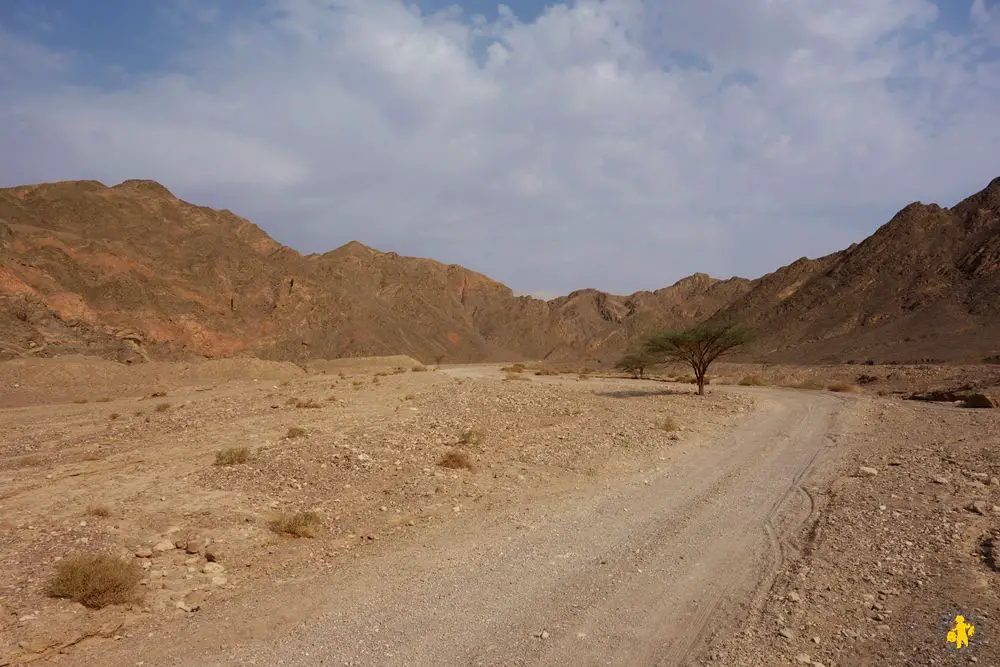 Eilat Camel ranch Israel 102015 44 Israël le sud avec enfants Eilat Négev | Blog VOYAGES ET ENFANTS