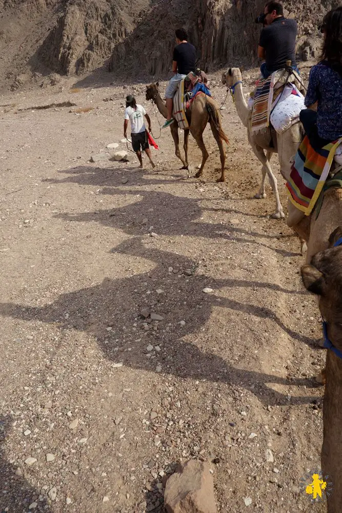 Eilat Camel ranch Israel 102015 49 Israël le sud avec enfants Eilat Négev | Blog VOYAGES ET ENFANTS