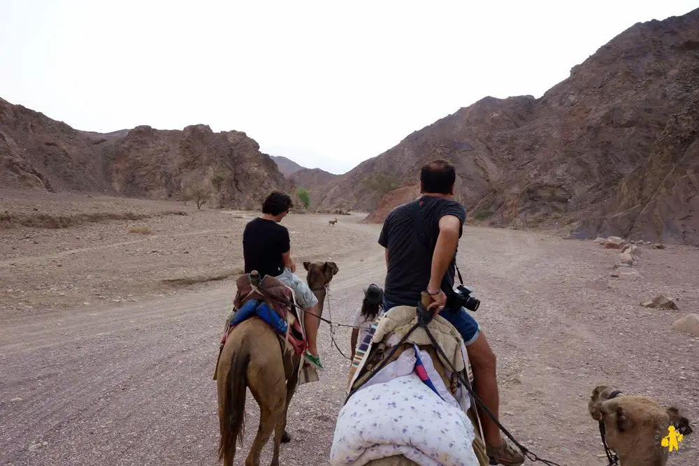 Eilat Camel ranch Israel 102015 5 Israël le sud avec enfants Eilat Négev | Blog VOYAGES ET ENFANTS