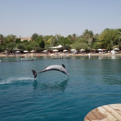 Israel en 1 semaine: désert du Néguev et Eilat 2/2