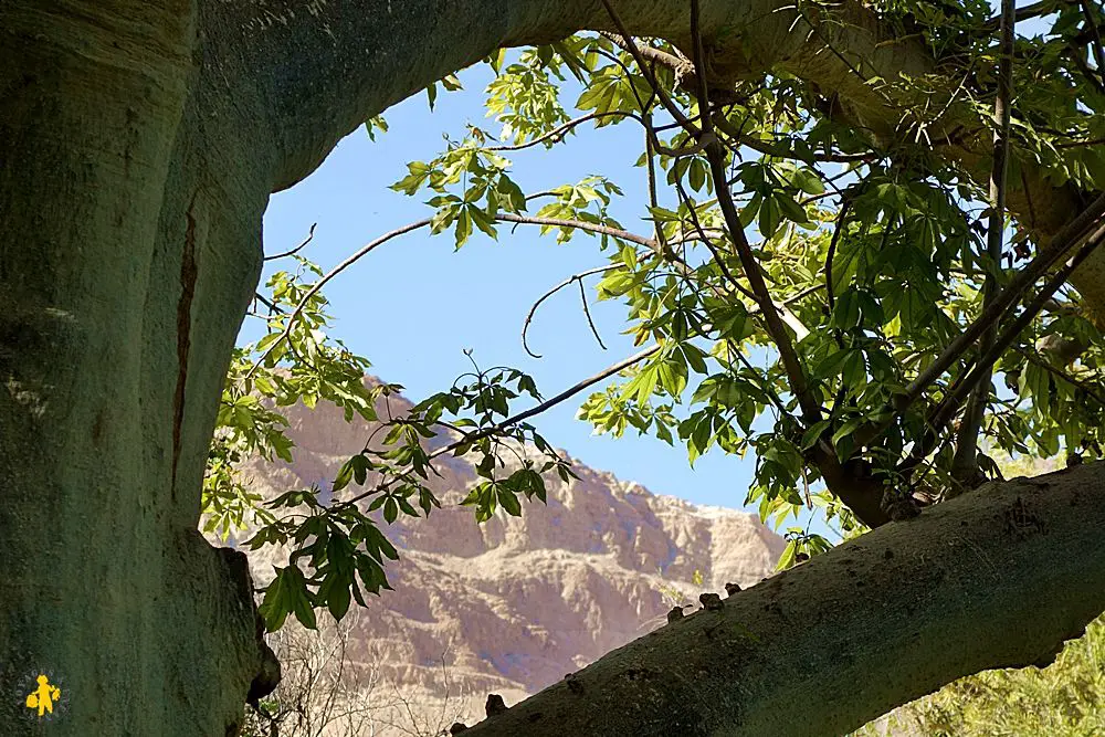 Ein Gedi Israel 102015 21 1 semaine Israël en famille Jérusalem Mer Morte 1 2 | Blog VOYAGES ET ENFANTS