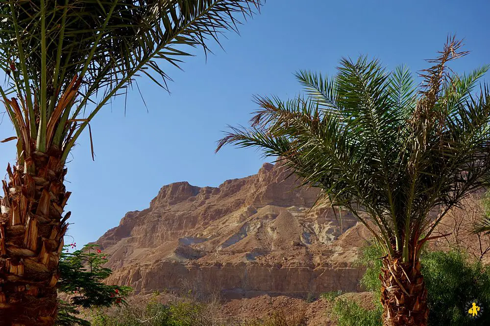 Ein Gedi Israel 102015 4 1 semaine Israël en famille Jérusalem Mer Morte 1 2 | Blog VOYAGES ET ENFANTS