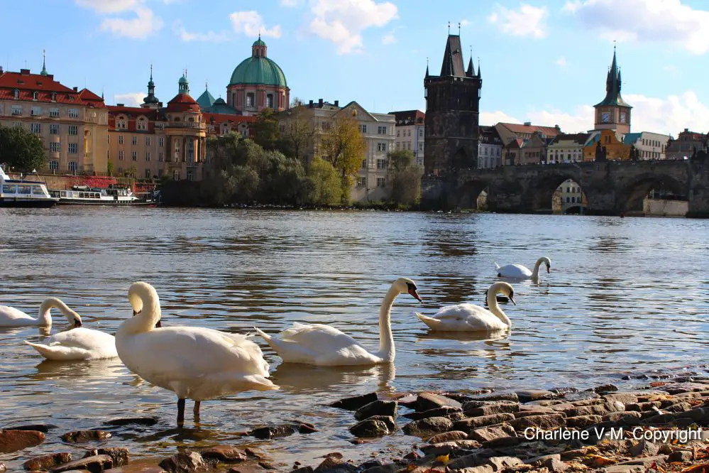 Prague en famille que faire Prague en famille séjour dune semaine | VOYAGES ET ENFANTS