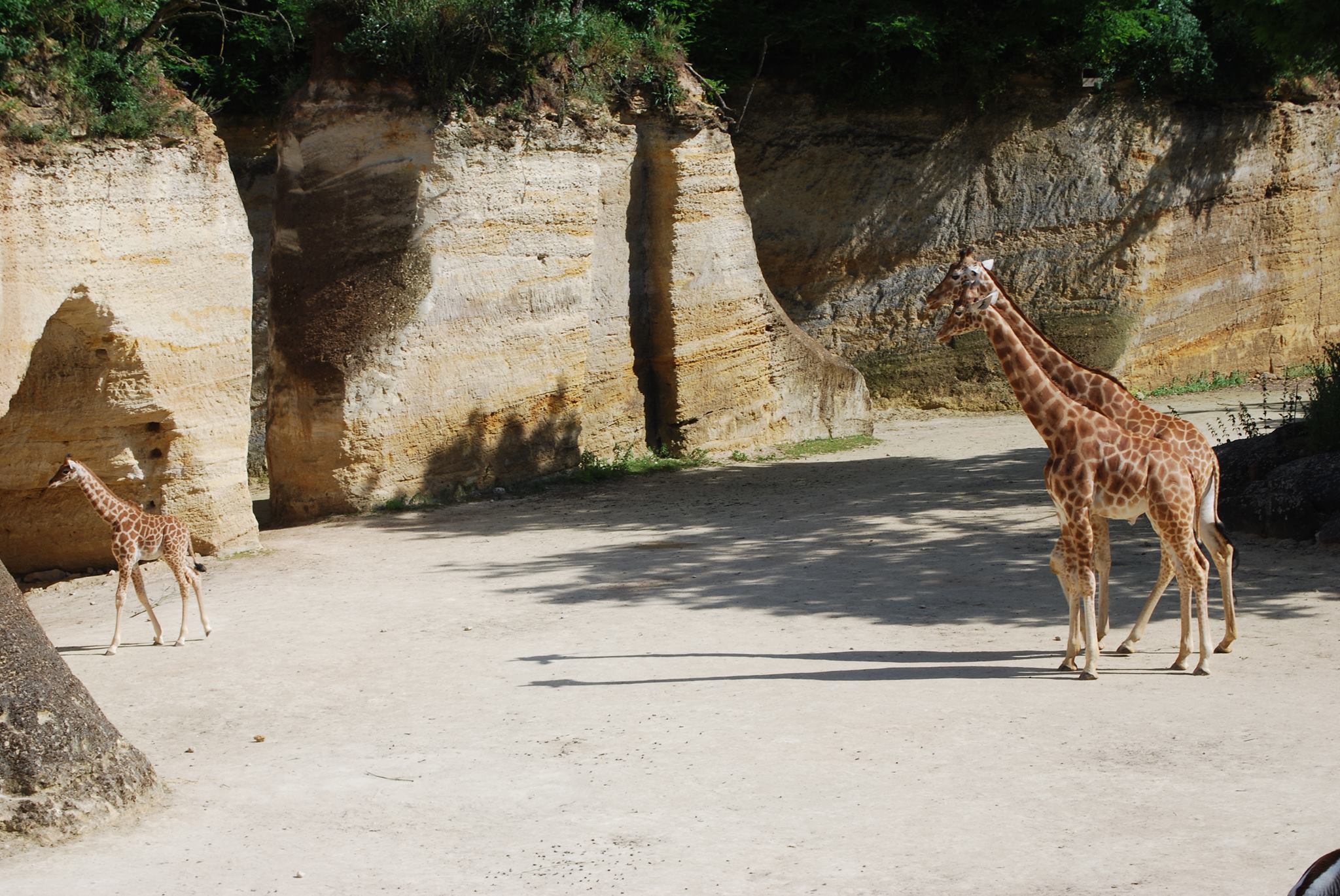 12545975 10154507500679057 549026231 o Le Maine et Loire en famille visites et activités autour dAngers Chollet | Blog VOYAGES ET ENFANTS