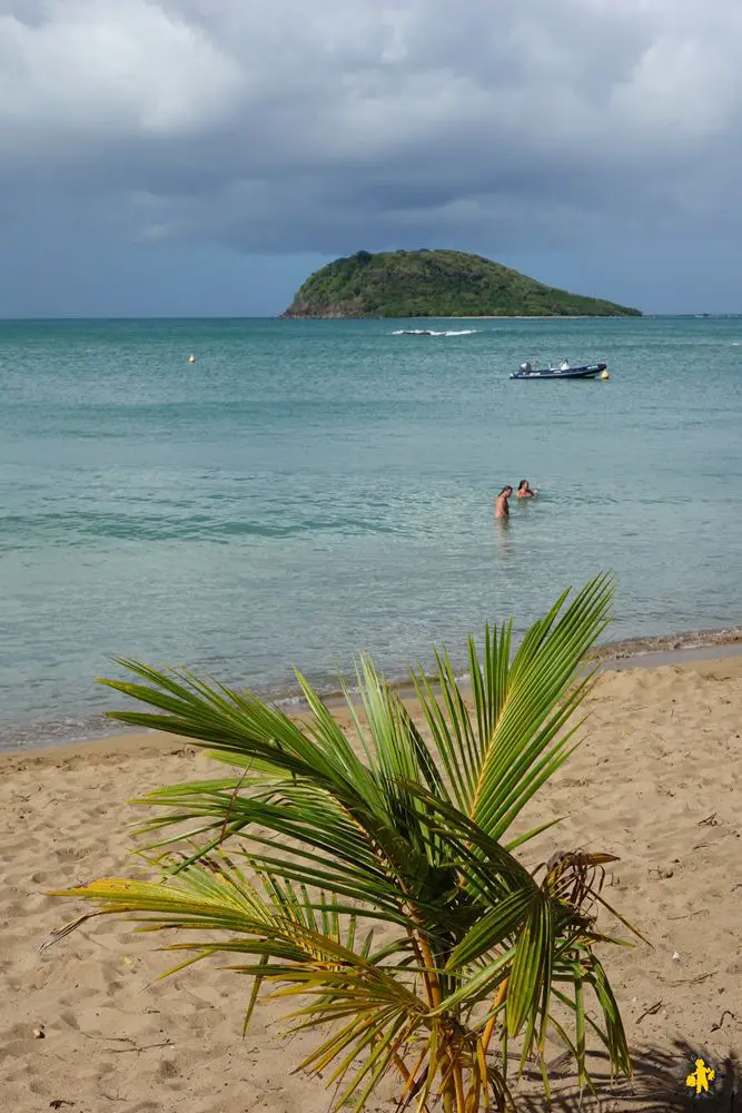 2015.12.07 Guadeloupe voyage (101)