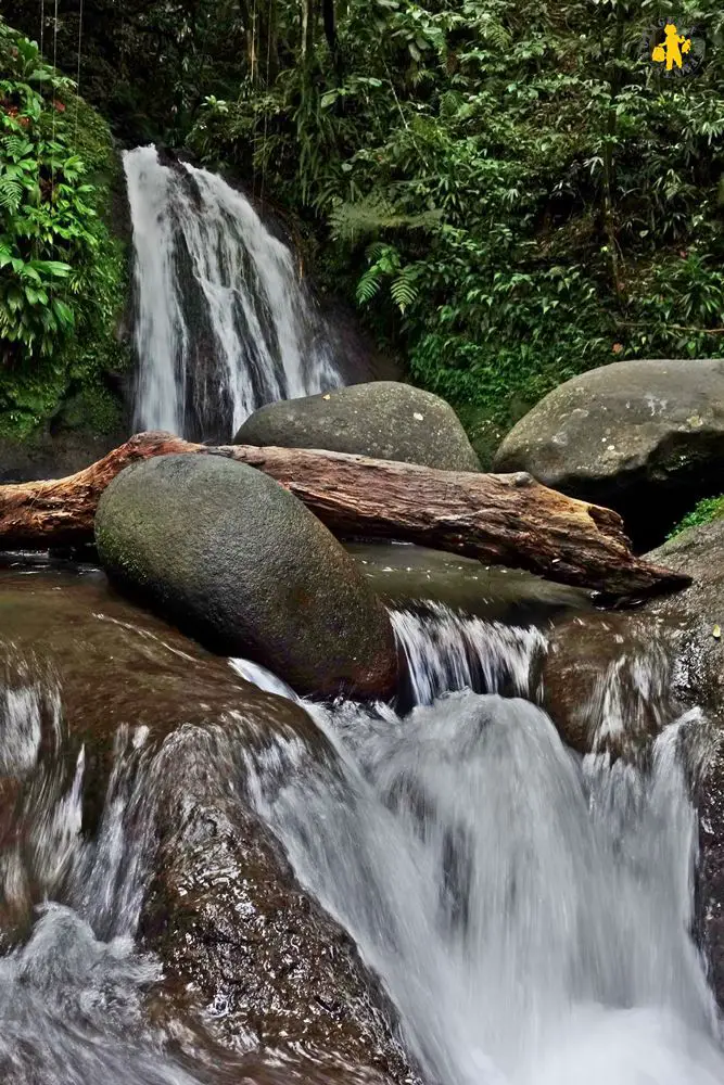 20151207 Guadeloupe voyage famille cascade aux ecrevisse 79 Top activités Guadeloupe en famille |Blog VOYAGES ET ENFANTS