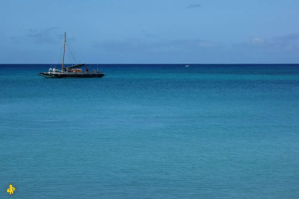 2015.12.10 Guadeloupe voyage plage du souffleur (74)