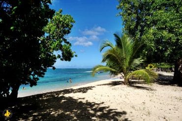 Voyage en famille en Guadeloupe