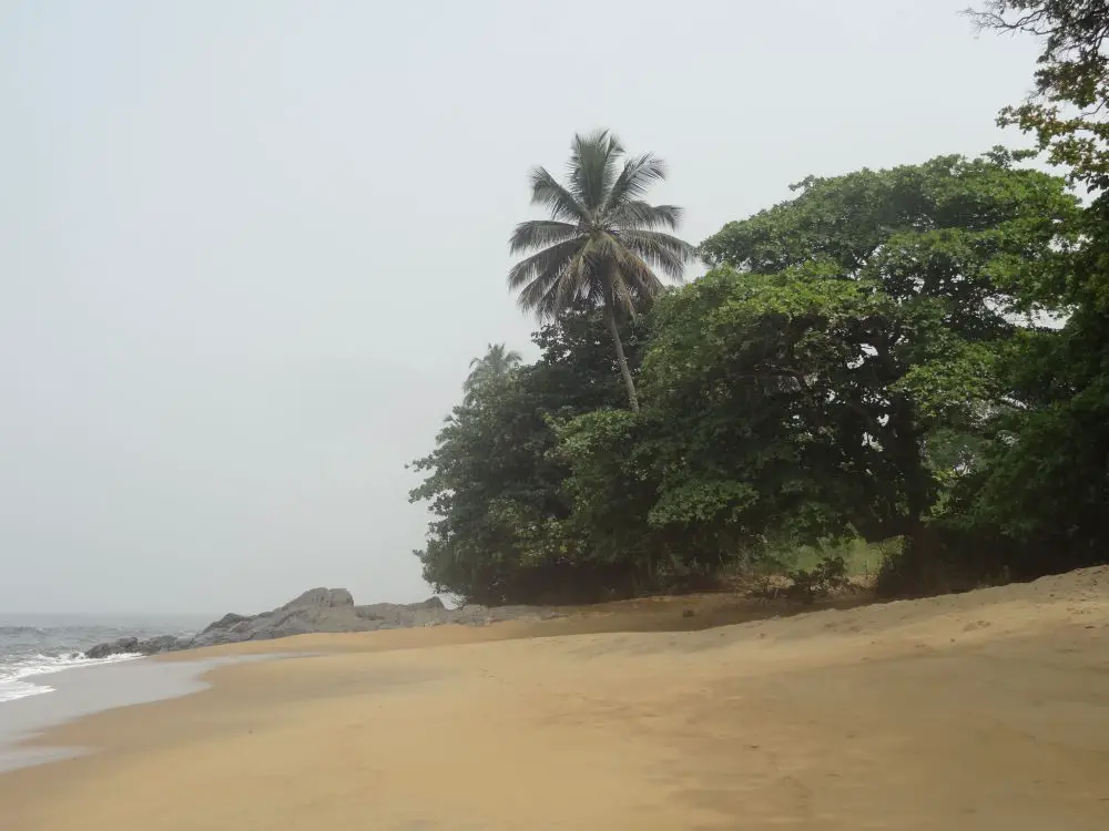 DSC00835