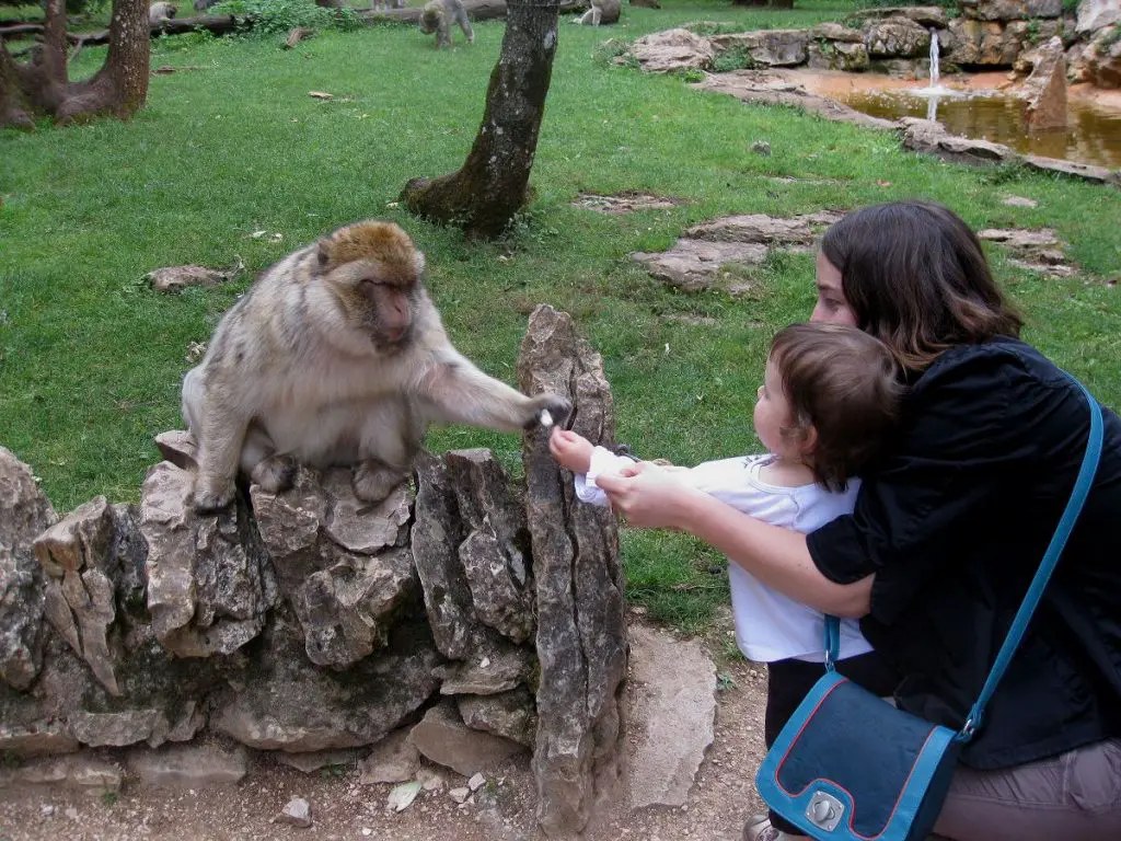 Le Lot et La dordogne en famille | Blog VOYAGES ET ENFANTS