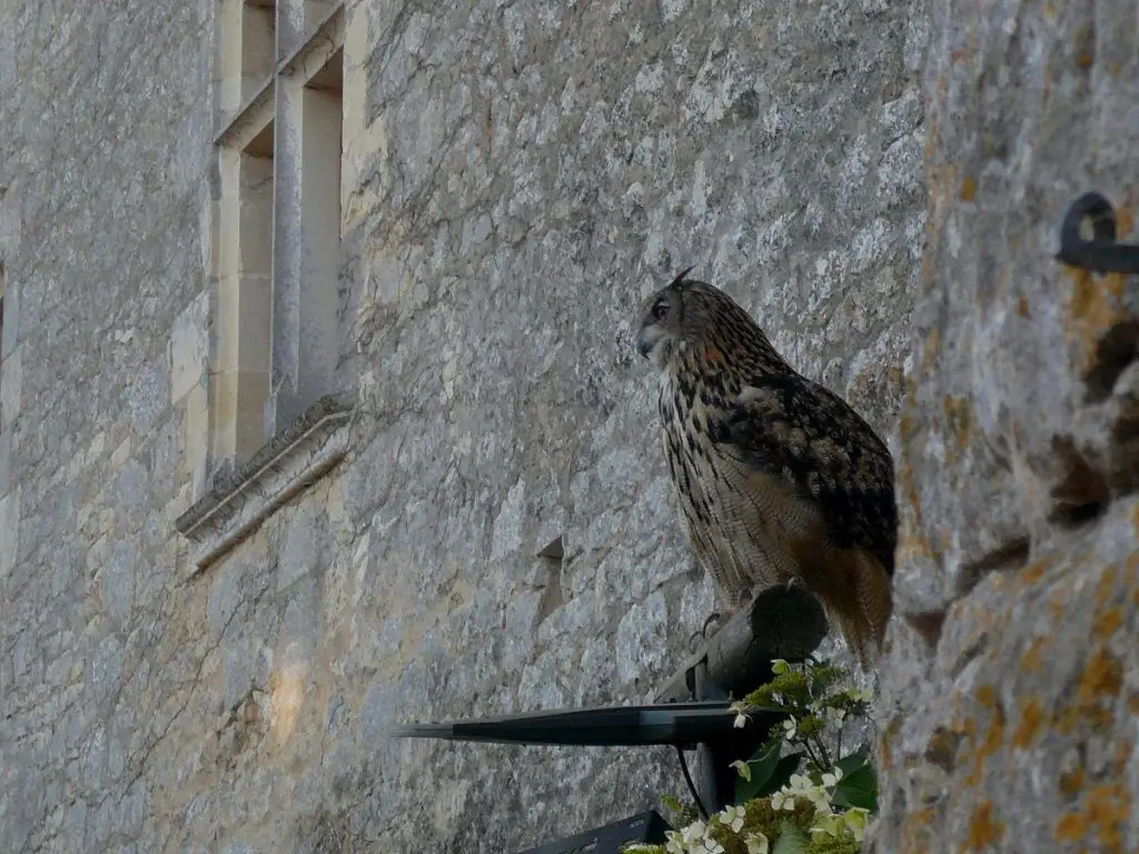 Le Lot et La dordogne en famille | Blog VOYAGES ET ENFANTS