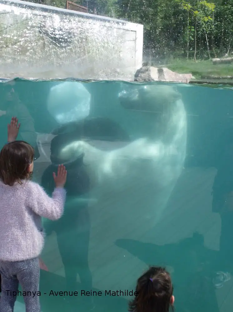 zoo de mulhouse Alsace en famille activités visites | Blog VOYAGES ET ENFANTS