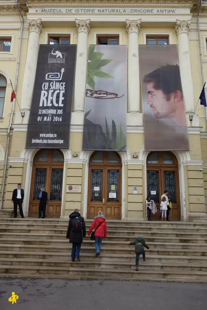 2016.02.12 Bucarest G Musée d'histoire naturelle (1)