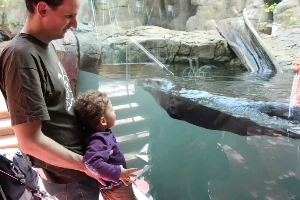 Biodome Québec Montréal Mont Tremblant et Québec en famille | Blog VOYAGES ET ENFANTS