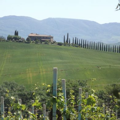 La Toscane avec bébé en 10 jours