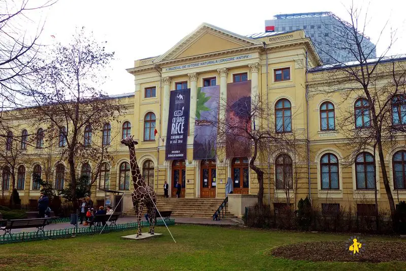 20160212 Bucarest F Place Victoriei 5 compressed Bucarest visites activités pour enfant | Blog VOYAGES ET ENFANTS