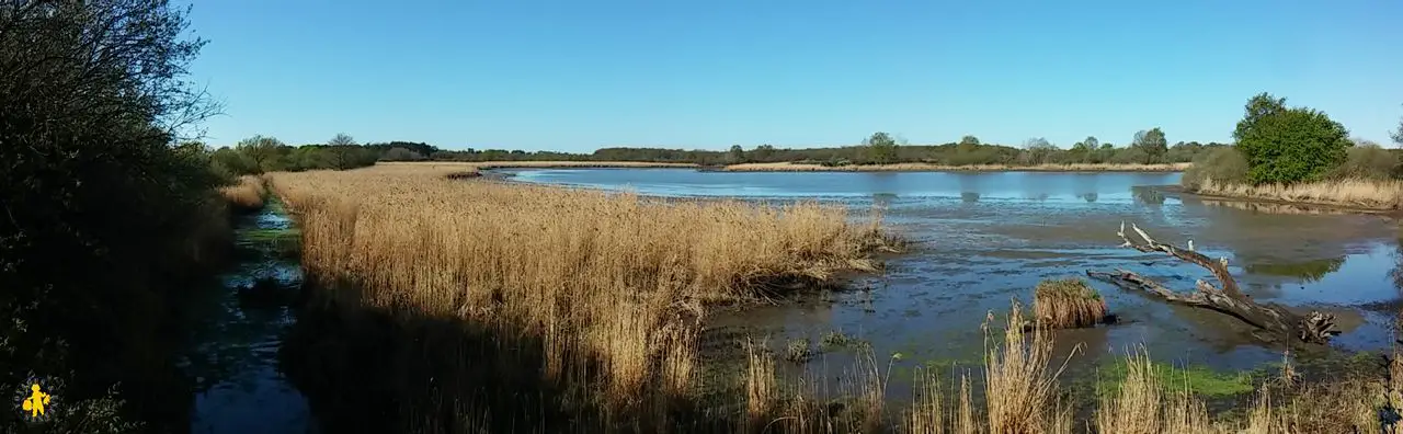 20160412 Berry Vacances en famille Observation Maison de la Nature 11 Parc de la Brenne Parc de la Brenne en famille Berry 2 | Blog VOYAGES ET ENFANTS