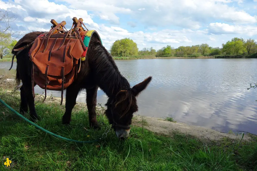 20160412D Berry Depan 87 Parc de la Brenne en famille Berry 2 | Blog VOYAGES ET ENFANTS