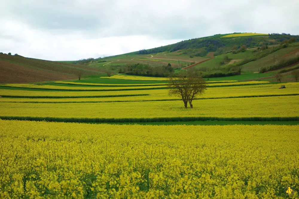 Paysage du Berry en famille Berry en famille road trip en 1 semaine de vacances | Blog VOYAGES ET ENFANTS