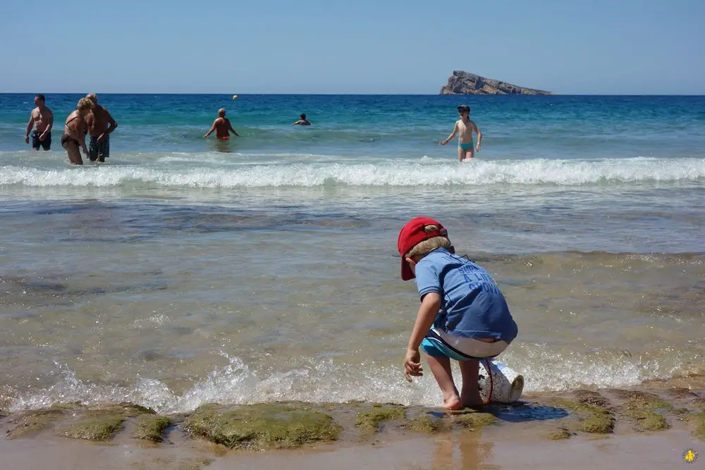 20160623 Benidorm Poniente Plage en famille Benidorm en famille 10 raisons dy aller | Blog VOYAGES ET ENFANTS