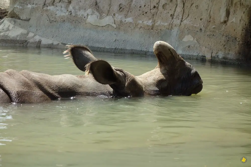 20160626 Benidorm en famille Terra Natura 5 Benidorm en famille 10 raisons dy aller | Blog VOYAGES ET ENFANTS