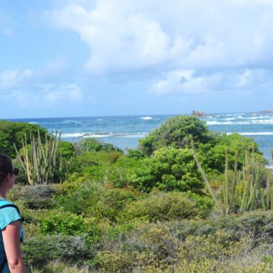 Martinique en mai, avec bébé
