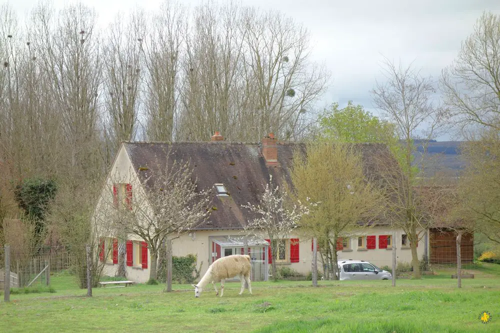 20160416 C Elevage de la Brissauderie 11 Week end famille à Sancerre Berry 4 | Blog VOYAGES ET ENFANTS