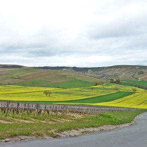 Week end famille à Sancerre Berry 4 | Blog VOYAGES ET ENFANTS