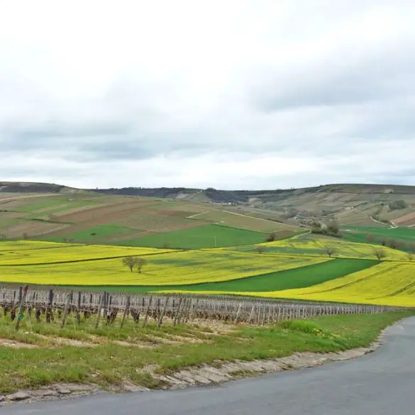 Un week-end dans les côteaux du Sancerre