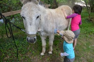 DSC 0556 Echange de maison Familles témoins leur avis | Blog VOYAGES ET ENFANTS