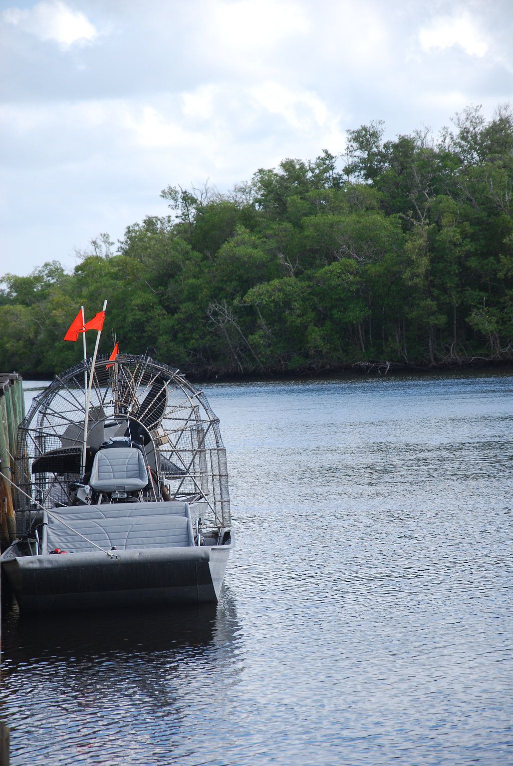 Everglades en famille Visiter les Everglades en famille Floride VOYAGES ET ENFANTS