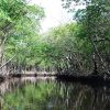 Everglades en famille 1 mois en Floride avec bébé | Blog VOYAGES ET ENFANTS