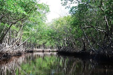 Everglades en famille