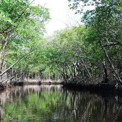 Everglades en famille