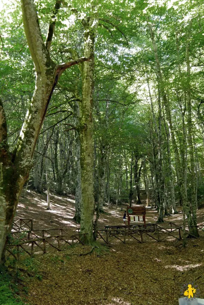 2016 08 16 pouilles 1 foresta umbra 6 Itinéraire Pouilles 15 jours en famille | Blog VOYAGES ET ENFANTS