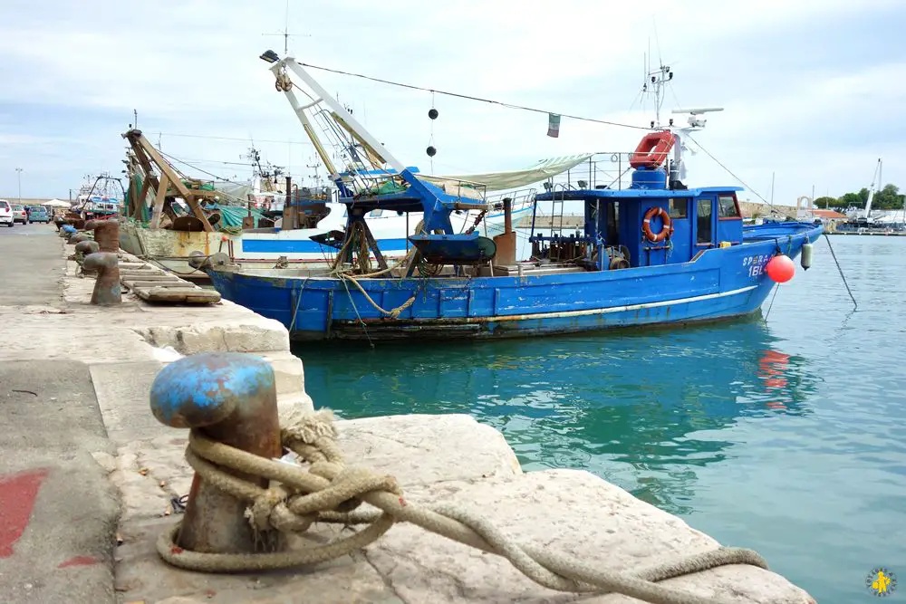 2016 08 17 pouilles 1 trani 11 Pouilles Itinéraire 15 jours en famille | VOYAGES ET ENFANTS