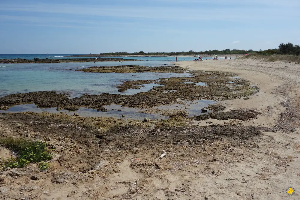 2016 08 20 pouilles 1 torre di guaceto 8 Pouilles Itinéraire 15 jours en famille | VOYAGES ET ENFANTS